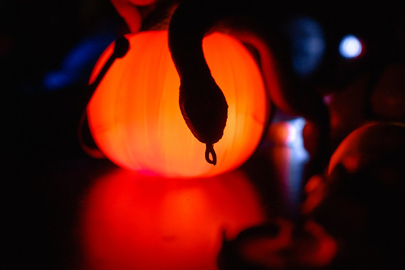 Украшение дома паутиной и летучими мышами к Хэллоуину в Yekaterinburg